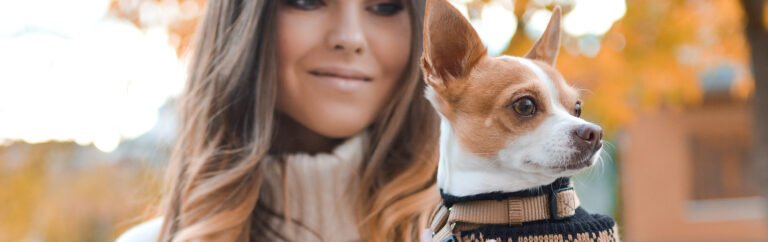 Man’s best fluffy friends and their relationship