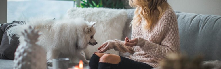 Pet treats: our picks & favourite recipes